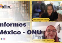 ¿Cómo aportan los Informes Alternativos en México al trabajo de la ONU?